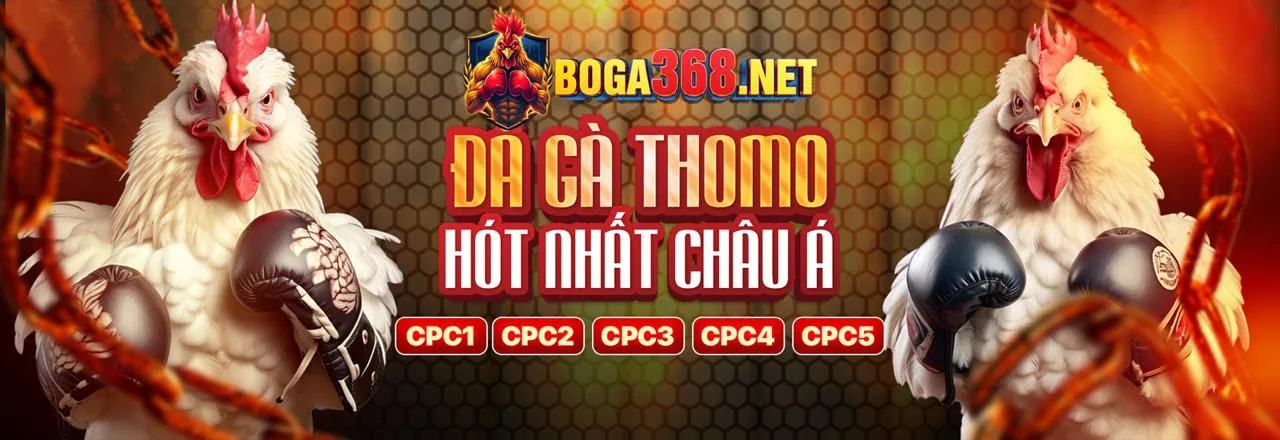 Đấu trường đá gà Fly88 Đăng Nhập
